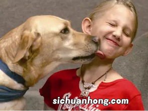 梦见养了一只小狗