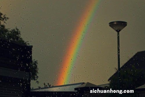 梦见被雨淋是什么意思