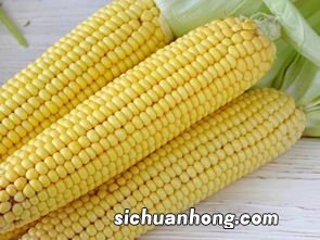 女人梦见买新鲜玉米棒