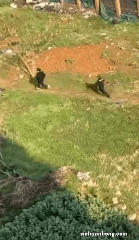 女人梦见山崩逃跑成功