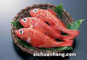 梦见一条巨大无比的红鱼