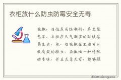 衣柜放什么防虫防霉安全无毒