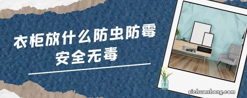 衣柜放什么防虫防霉安全无毒
