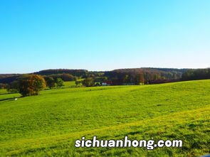 家有田地指什么生肖