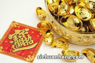 读书最多的生肖是什么肖