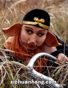 承恩八戒转山林是什么生肖