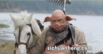 承恩八戒转山林是什么生肖