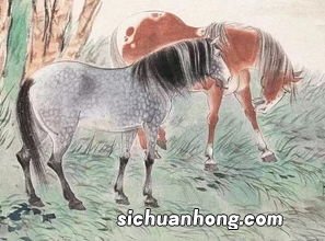 朽木生花指什么生肖