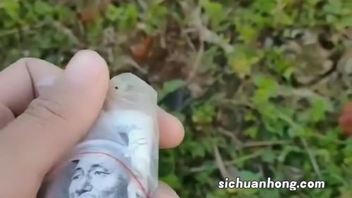 梦见奶奶存了很多钱