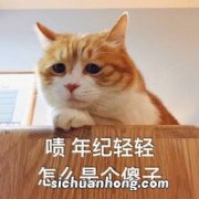 梦见教一个傻子读书