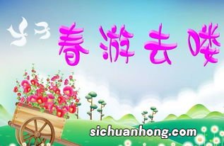 阳光少年去春游代表什么生肖