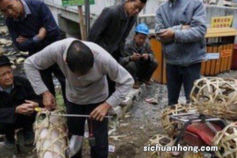 梦见自己买猪肉是什么兆头