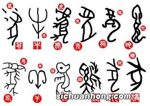 济济一堂是什么动物生肖