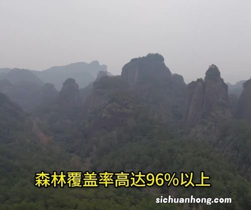 正山小种有什么特色