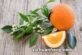盐蒸橙子多久有效
