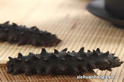 新鲜海参怎么挑