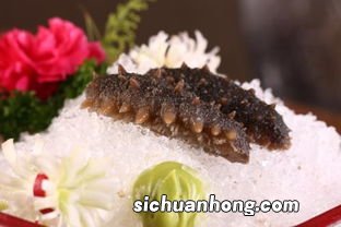 新鲜海参怎么挑