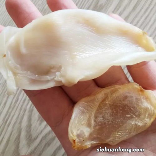 小米鱼胶为什么