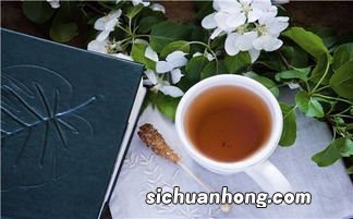 春夏秋冬饮用什么茶叶