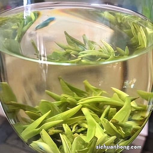 西湖龙井茶什么颜色是正宗的