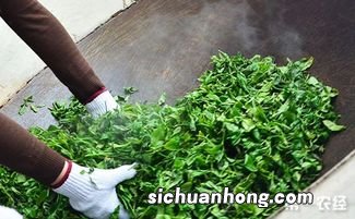茶叶杀青主要是做什么
