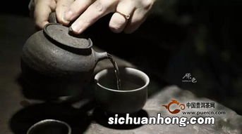 柴烧茶具 适合泡什么茶