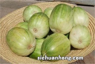 香瓜忌讳和什么一起吃