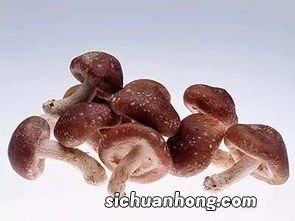 香菇有什么作用与功效