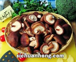 香菇吃了有什么坏处