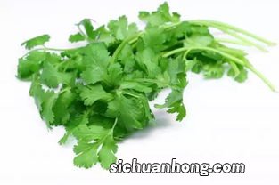 香菜不能同什么一起吃