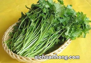 香菜不能同什么一起吃