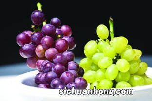 葡萄和提子的区别