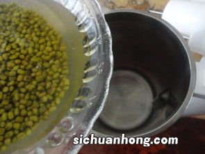 绿豆豆浆要泡多久