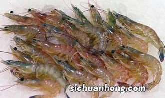 虾和什么给宝宝吃好