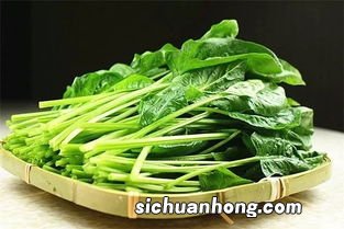 小孩怎么吃菠菜有营养