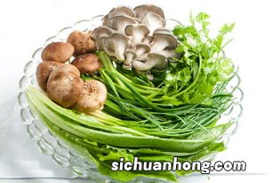 胃肠炎能吃什么菜