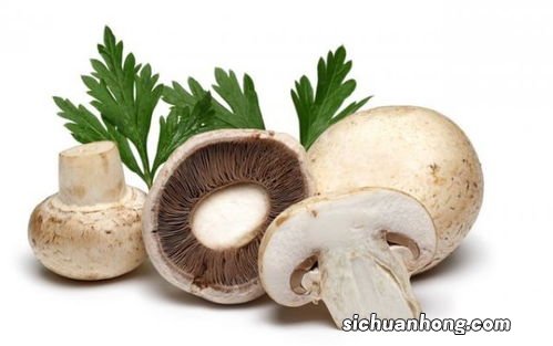 蘑菇可以存放多久