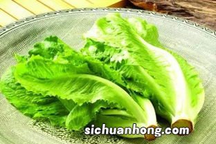 为什么莴苣不能冷冻
