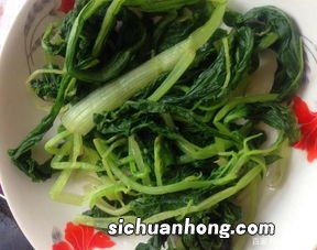 小白菜苗 怎么吃