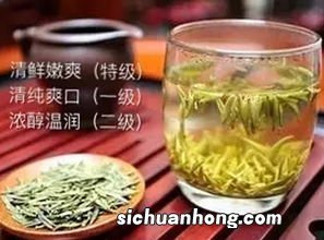 帝王黄茶属于什么茶