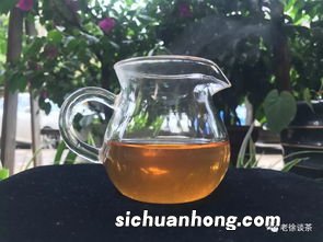 临沧金什么茶