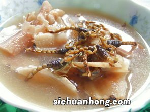 土茯苓炖什么好