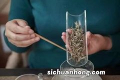 花茶和煮茶有什么区别