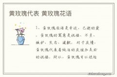 黄玫瑰代表 黄玫瑰花语