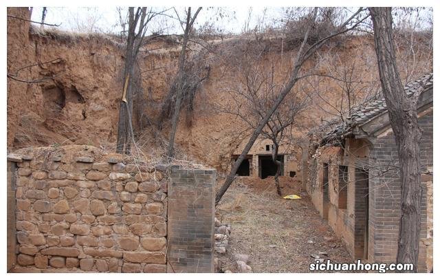 深山废弃古村成了一群野猫领地，贸然闯入竟受到攻击，摄影师逃跑