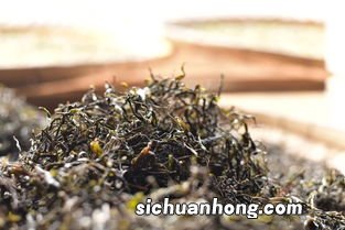 为什么树龄越大普洱茶越好