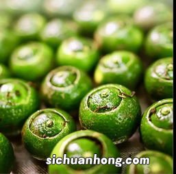 什么时候开始有小青柑的