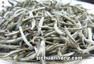 白茶是什么季节的
