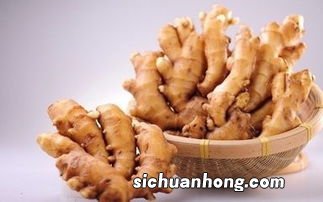 中午吃姜有什么好处