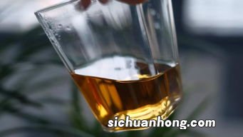 福鼎自茶什么体质不能喝